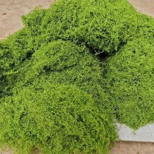 DIY Crafts Grass Green Faux Moss Artificial Preser Fake