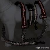 Dog Leash for Retractable Judge Free Running Lar Hands