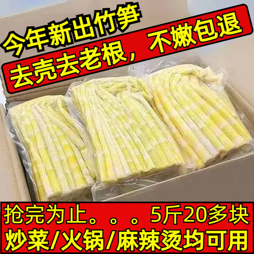 竹笋嫩笋尖当季新鲜小竹笋手撕剥笋免切野生鲜嫩脆竹笋尖广西特产
