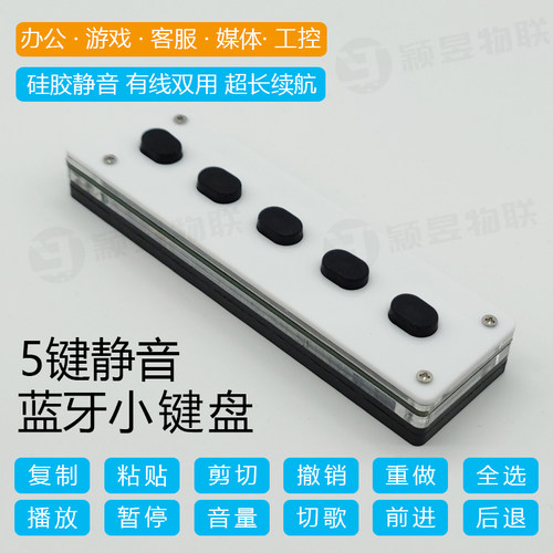 自定义蓝牙无线AU录书专用