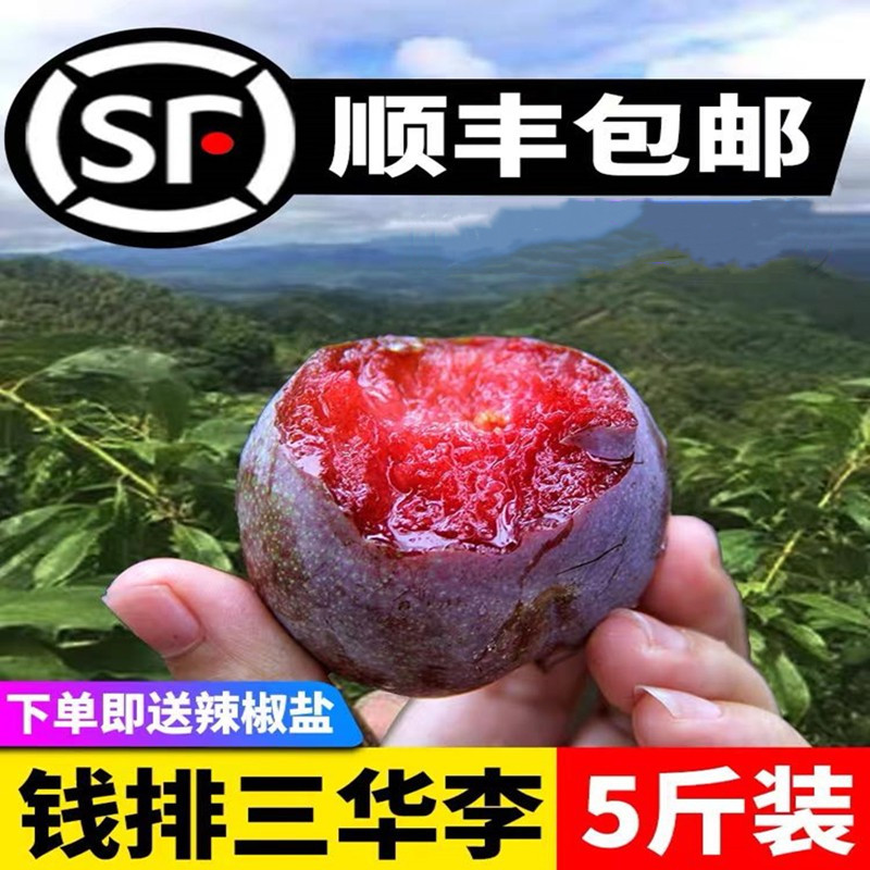 正宗前排三华李5斤包邮大果新鲜红心脆甜李子当季水果孕妇非广西