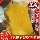 正宗玛莎莉红瑶榴莲蜜薯可商用批发当季 自然糖化黄心糖心烤红薯