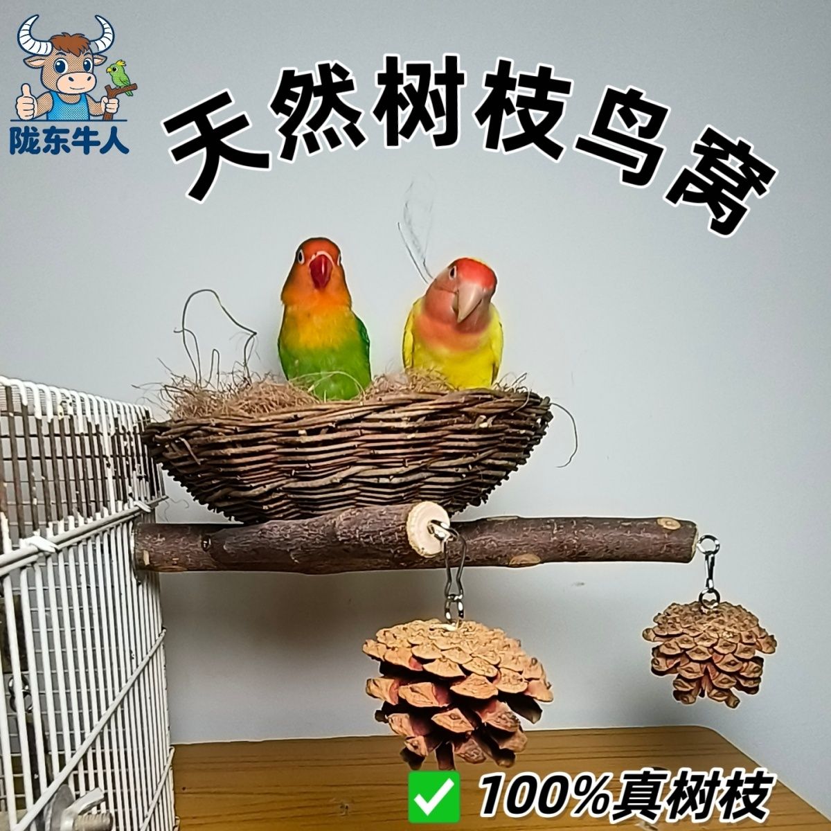 虎皮鹦鹉玄凤牡丹草编天