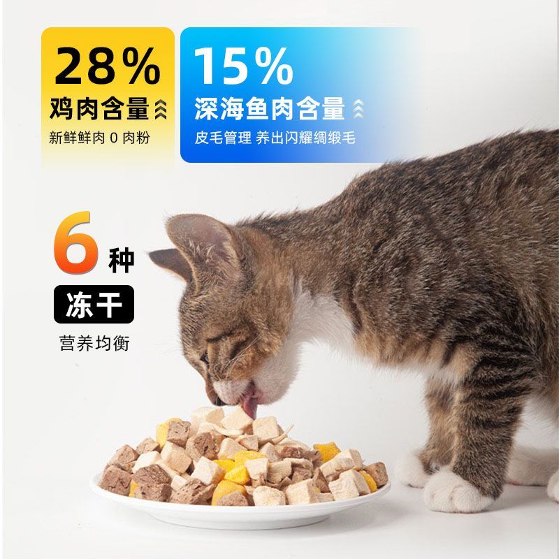 宠大帅六拼猫粮成猫幼猫
