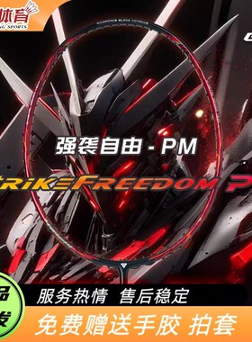 GGEM聚将强袭自由PM全碳纤维速度进攻羽毛球拍超轻球拍新手极音速