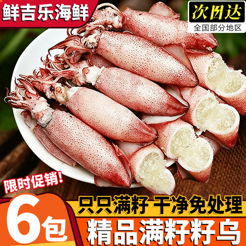 山东青岛鲜活满籽海兔笔管鱼