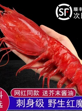 红魔虾鲜活冷冻刺身级生呛低温甜虾特大非莫桑比克西班牙生吃即食