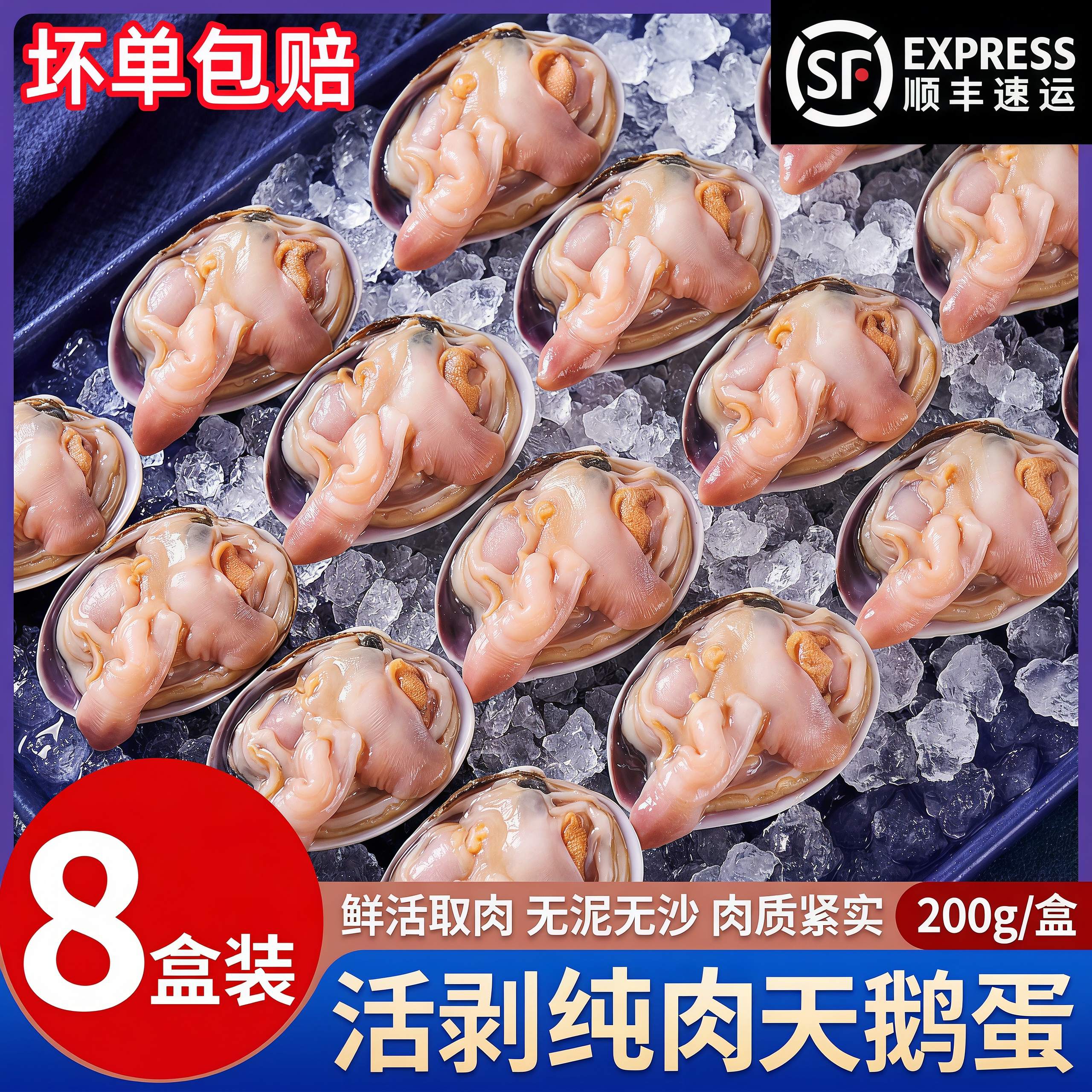 天鹅蛋纯肉新鲜速冻大蛤肉新鲜纯肉烧烤火锅当天去壳现剥原浆