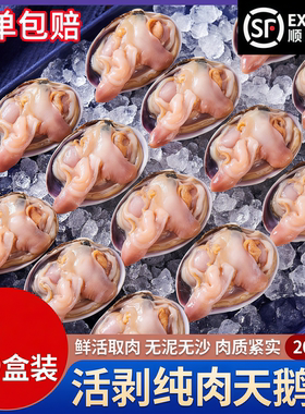 天鹅蛋纯肉新鲜速冻大蛤肉新鲜纯肉烧烤火锅当天去壳现剥原浆