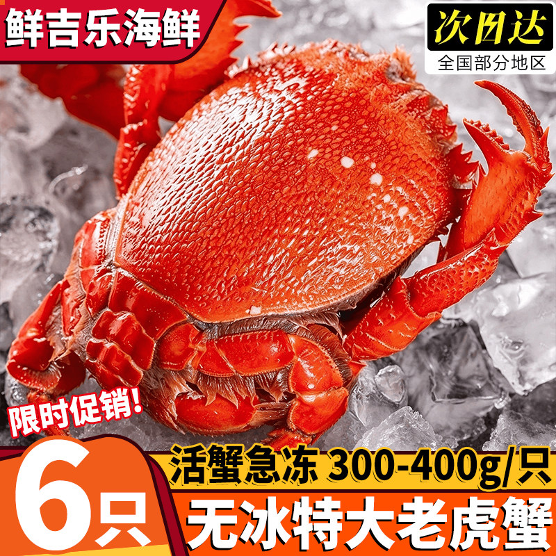 老虎蟹新鲜冷冻老虎蟹虎头蟹螃蟹海鲜水产火锅食材清蒸保鲜不保活