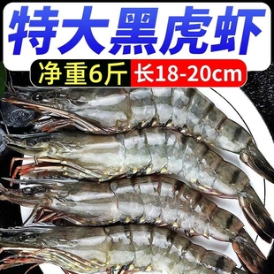 黑虎虾大号新鲜大虾基围虾鲜活冷冻海鲜水产老虎虾九节虾大号虎虾