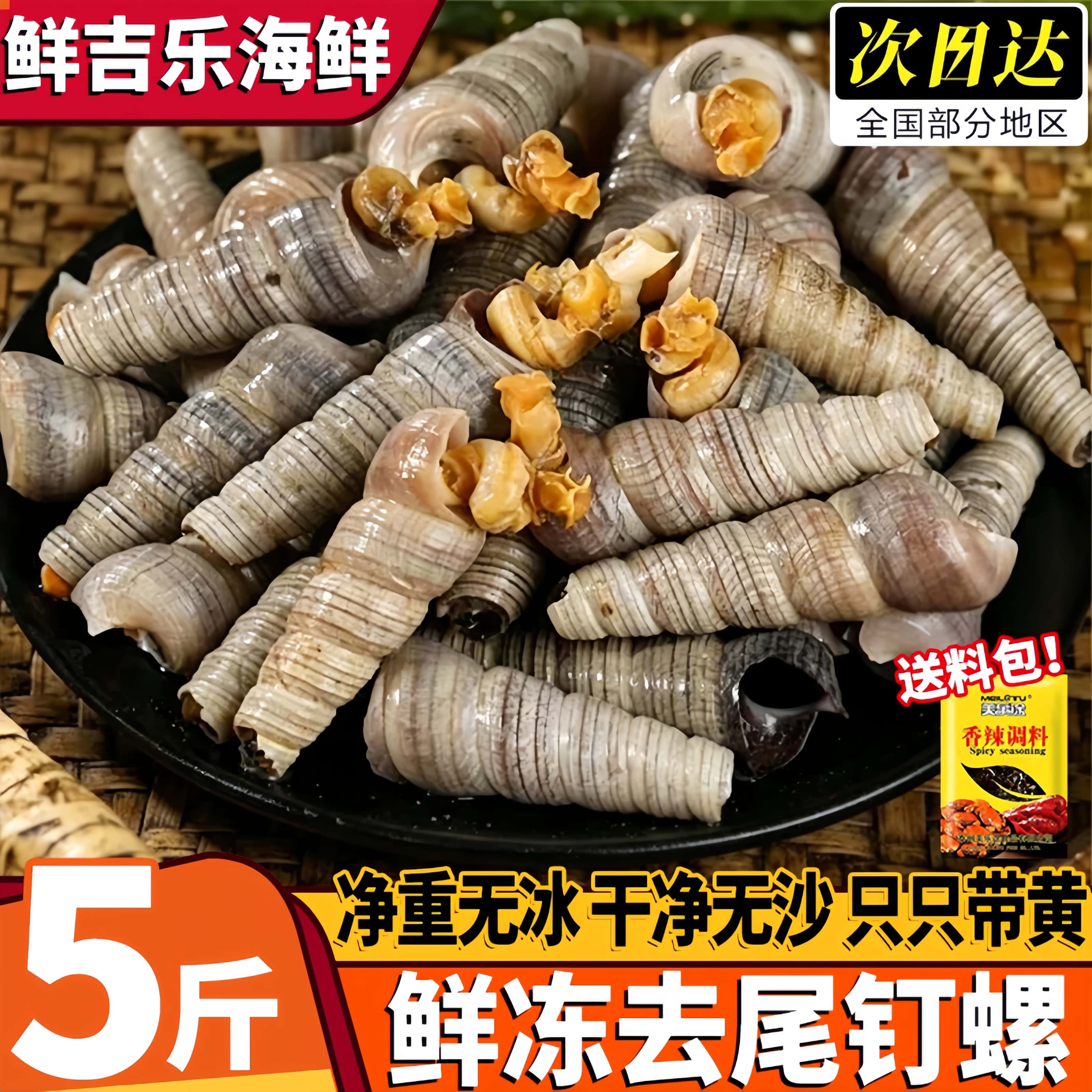 鲜活去尾大号麻辣钉螺5斤