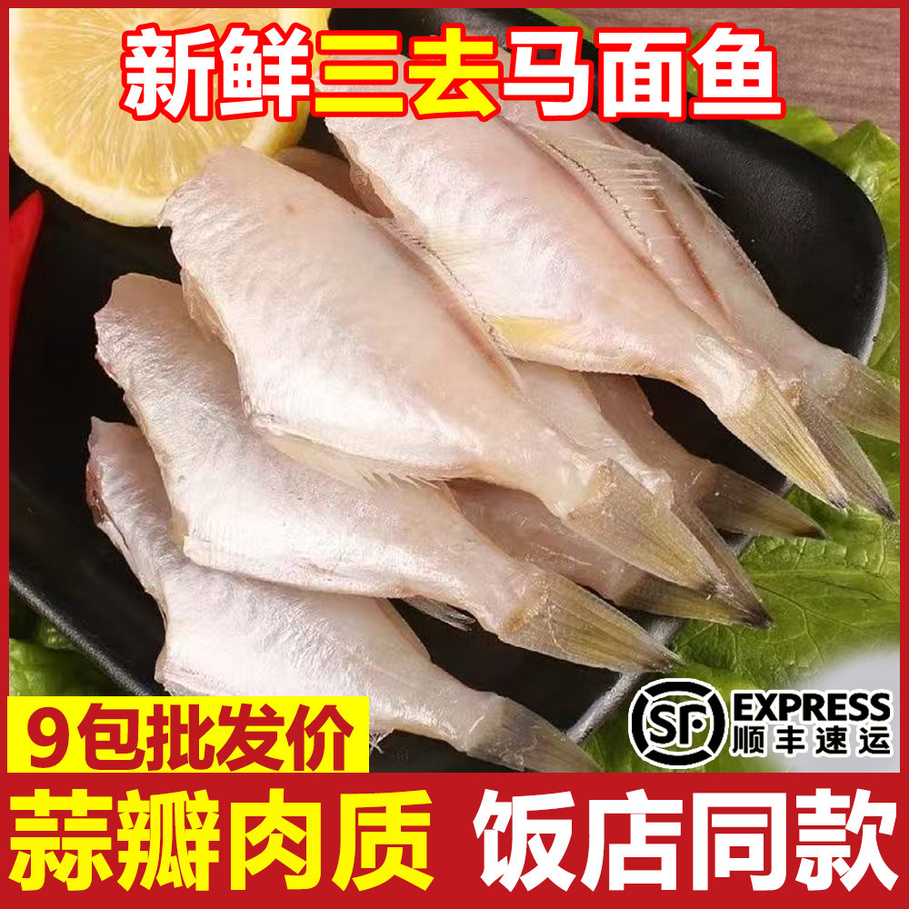 新鲜冷冻免处理马面鱼