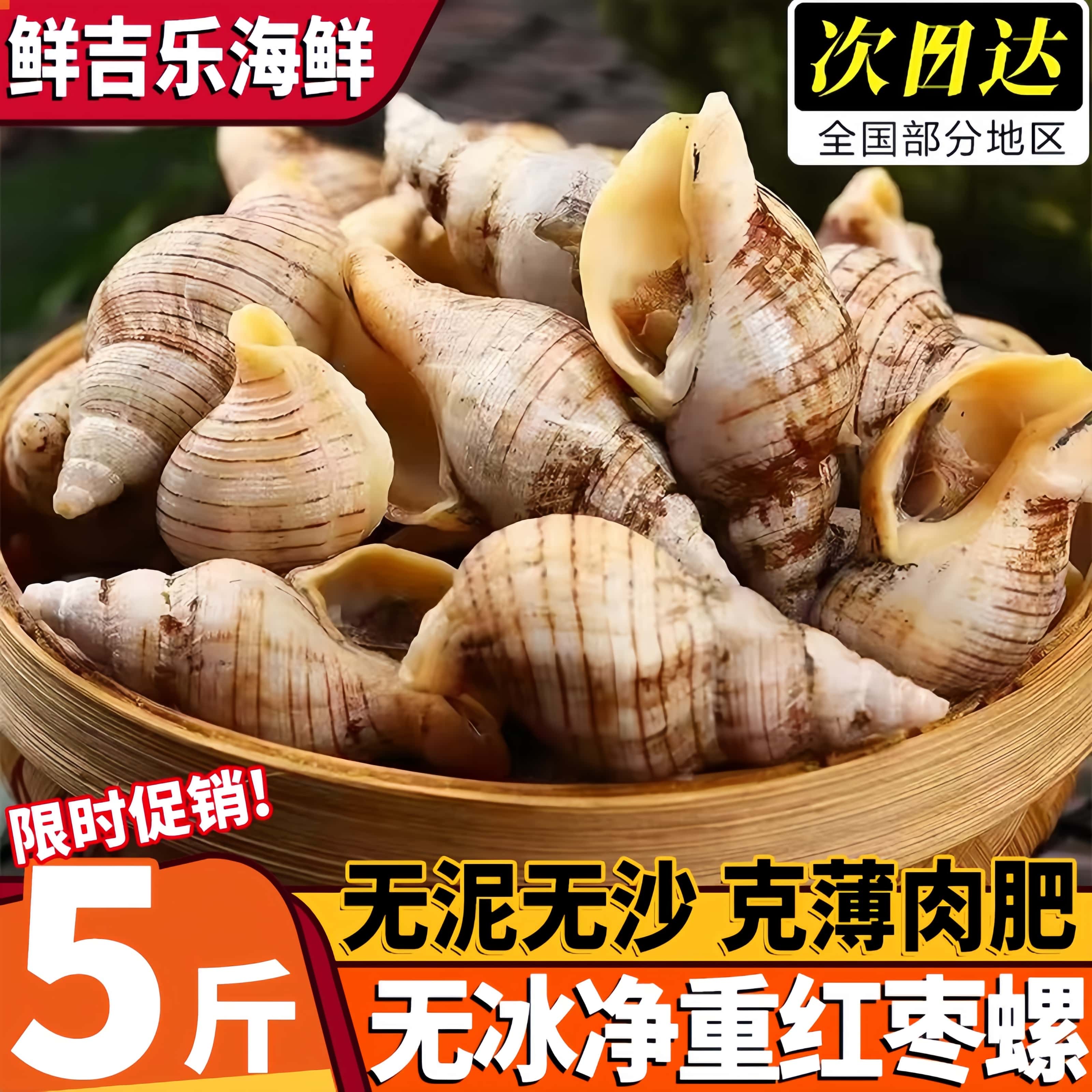 辽宁丹东新鲜冷冻红枣螺