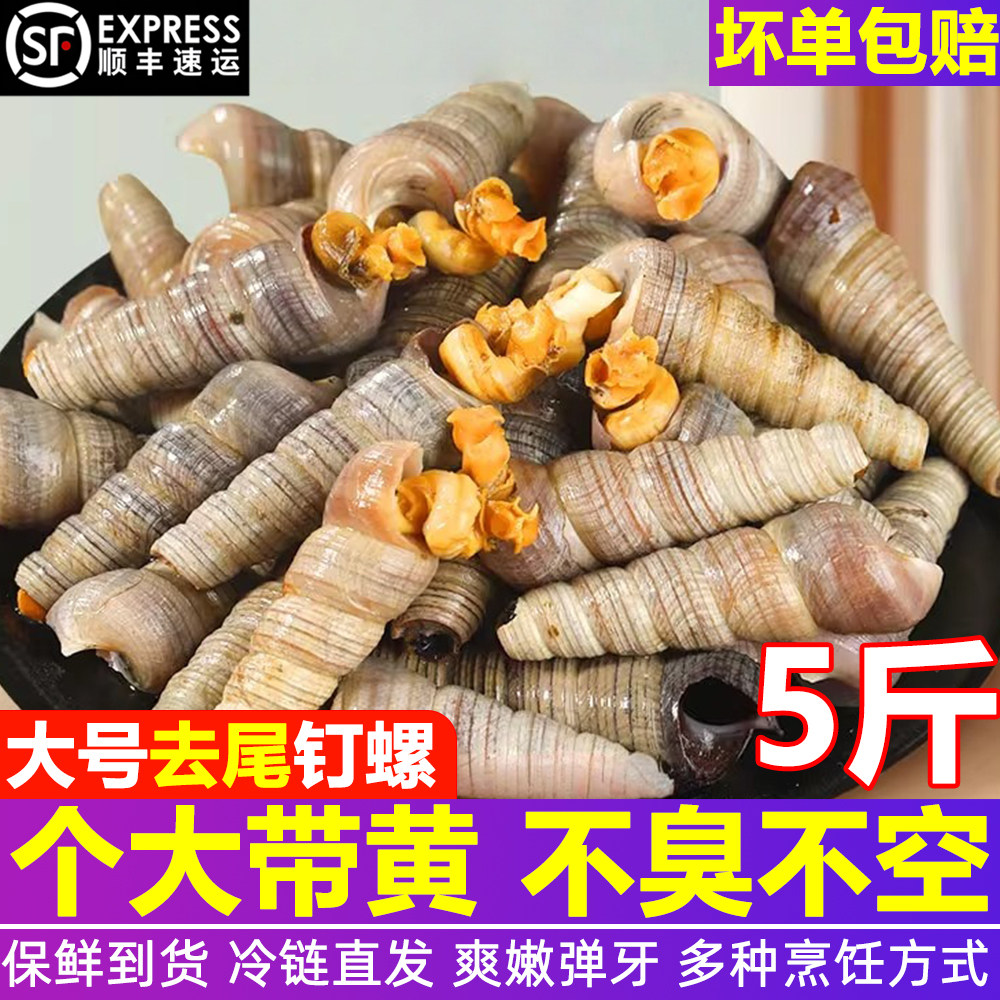钉螺鲜活冷冻锥螺去尾带黄大号海螺丝无沙新鲜捞汁小海鲜整箱顺丰
