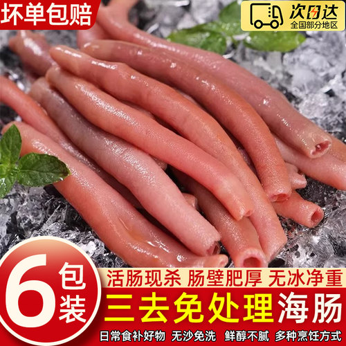 冷冻新鲜海捕海肠皮去内脏