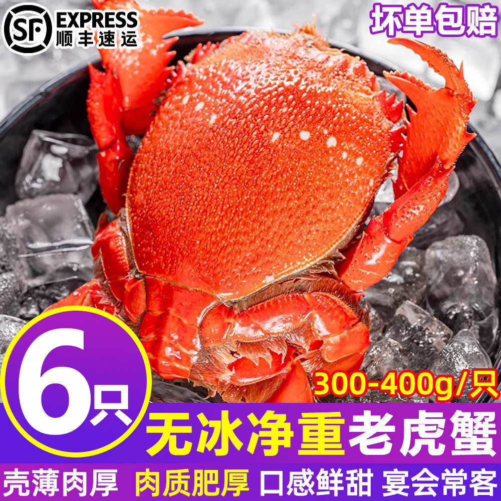 新鲜老虎蟹冷冻鲜活虎头蟹速冻冰冻贵妃蟹旭蟹火锅商用整箱批发