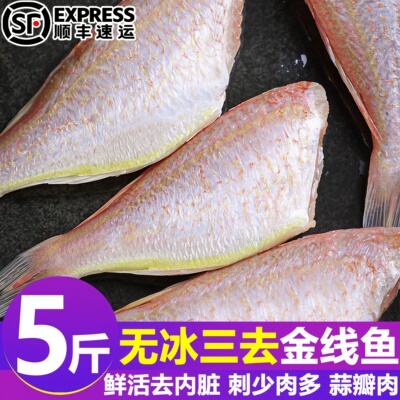 三去无冰速冻金线鱼整箱顺丰