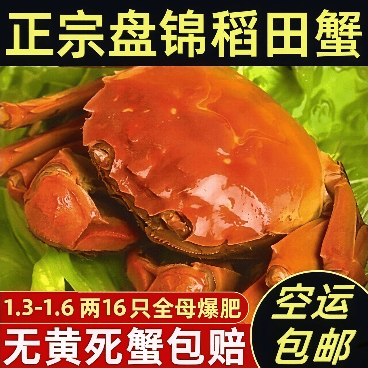 盘锦河蟹空运发货死蟹包赔