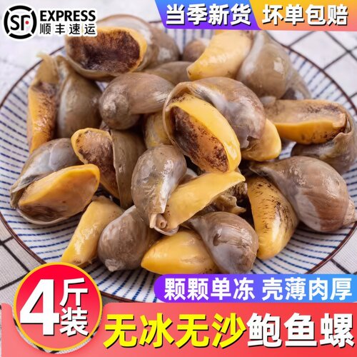 辽宁丹东速冻黄金鲍鱼螺年货