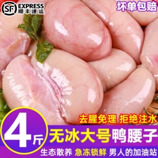 公鸭腰子新鲜散养大号冷冻老土鸭卵壮年滋补鸭卵鸭肾生鲜商用顺丰