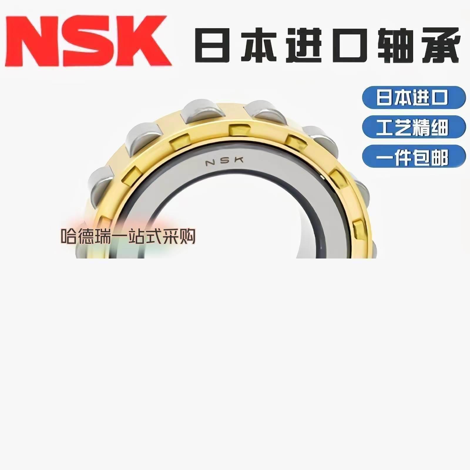 进口NSK圆柱滚子减速机轴承RN205 206 207 208 209 219 222 228EM