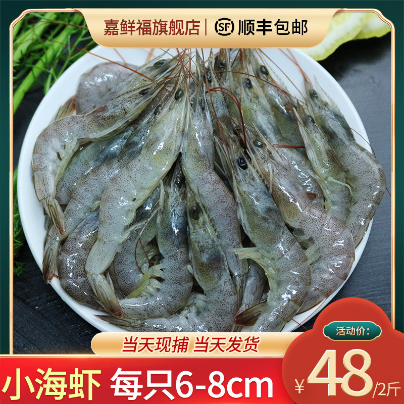 新鲜小海虾鲜活速冻明虾青岛野生虾海鲜水产2斤顺丰包邮