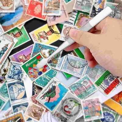 Stamp Tweezer Pointed Tweezers Philately Tools Eyelash