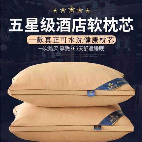 A pair of five-star hotel soft pillow with pillowcase 枕头芯