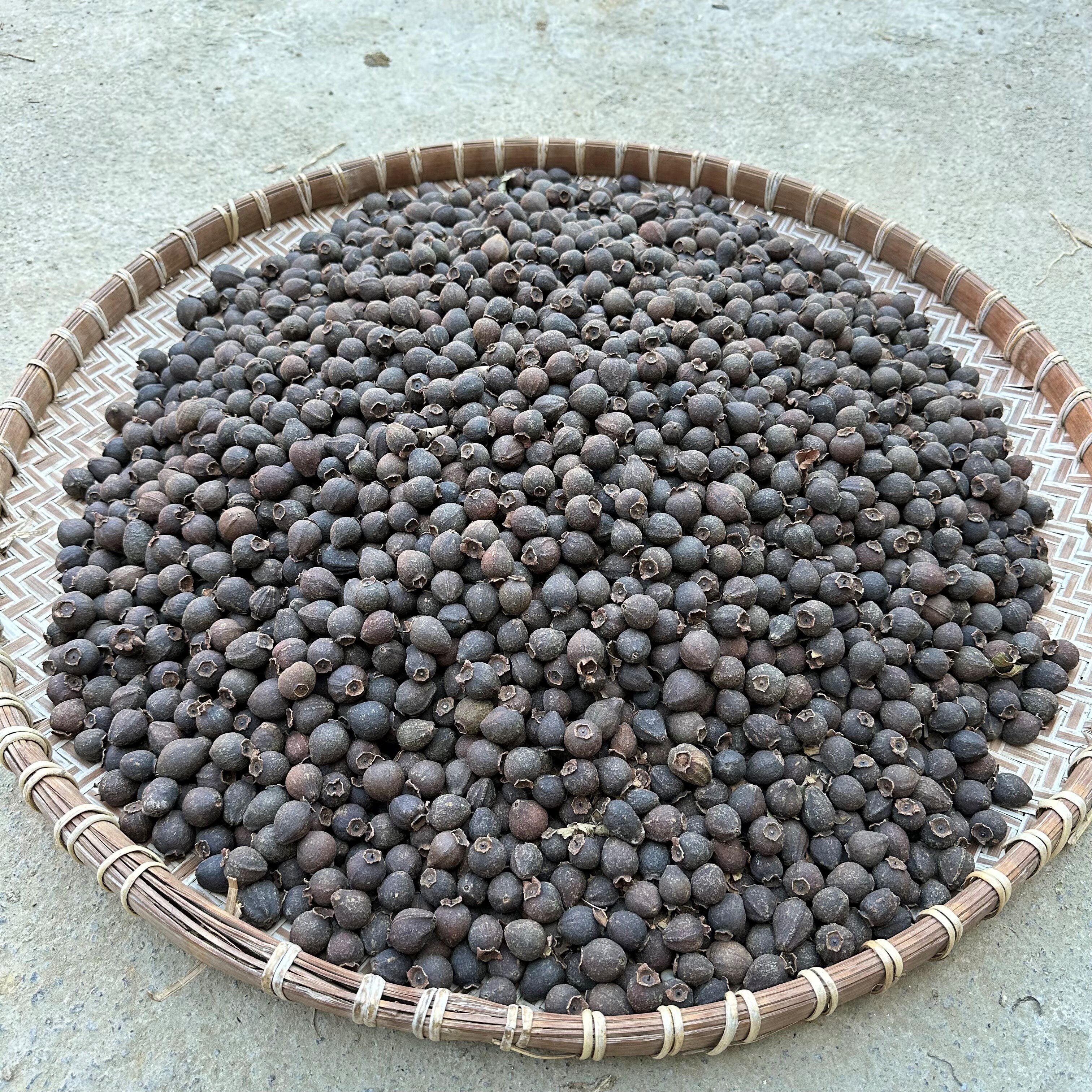 整只珍珠番石榴幼果干整个生晒小果干芭乐干野生蕃石榴乾