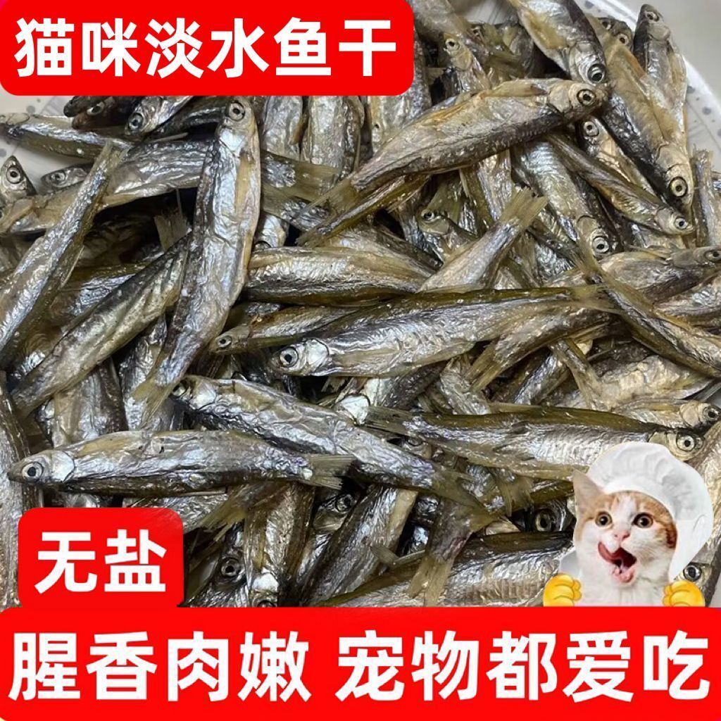 淡水无盐小鱼干猫零食增肥成猫宠物鱼干幼猫营养补钙猫食猫粮龟粮