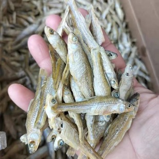 无盐无油的小鱼干干货自晒麦穗鱼干火培鱼淡水小鱼仔淡干嫩子鱼干