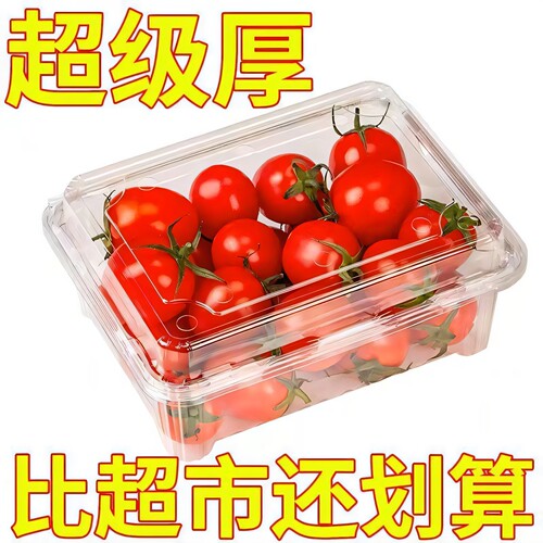 商用一次性水果盒透明带盖小番茄草莓透气糕点水果新鲜一整箱