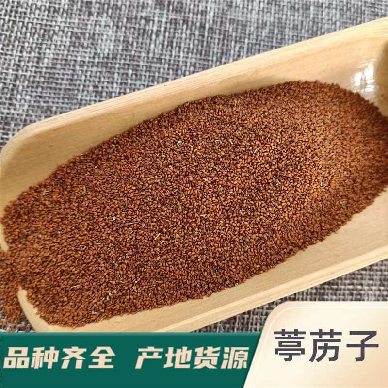 葶苈子 葶苈籽  葶苈籽 丁历子 葶力籽 500克