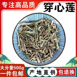 穿心莲叶 穿心莲 一见喜穿心莲叶 榄核莲苦胆草中药材苦草500克
