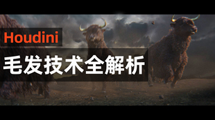 houdini毛发教程《Houdini毛发技术全解析》自在设计