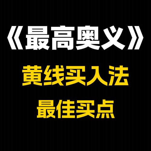 最高奥义—黄线买入法—指标体验