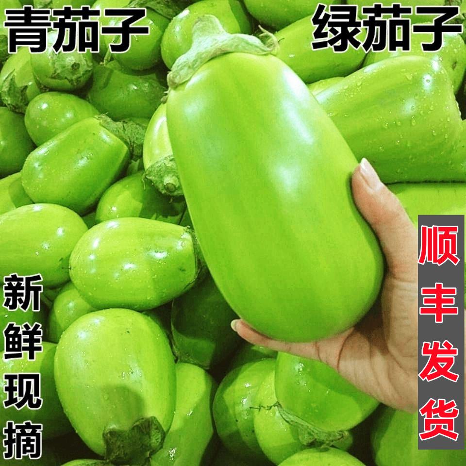 河南青茄子大绿茄子半-7斤农家自种新鲜现摘绿皮茄子生吃青茄蔬菜