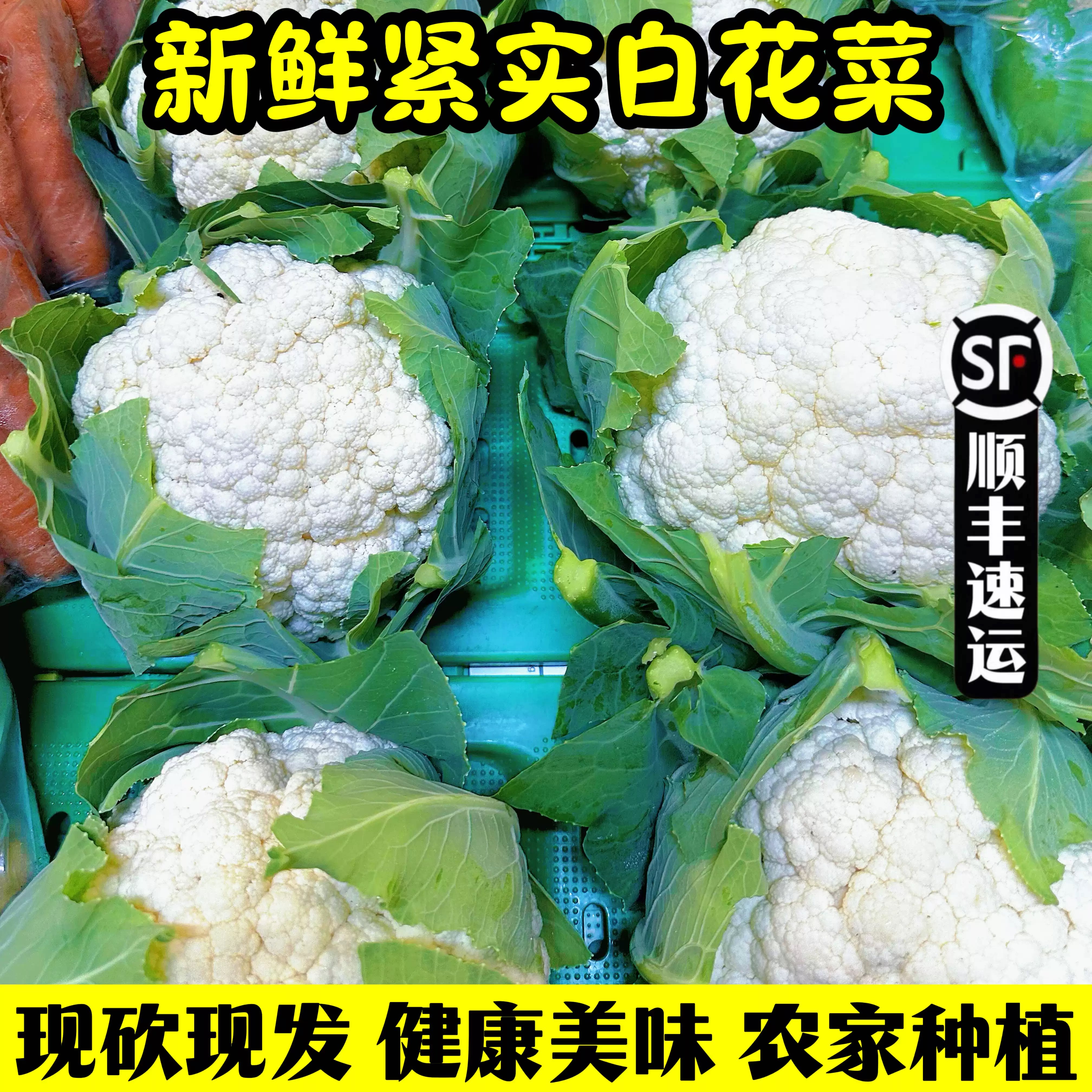 顺丰花菜新鲜 5斤农家现摘传统白花菜老品种花椰菜时令蔬菜菜花