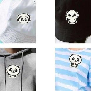 Patches Applique Embroidery Panda Iron Pcs