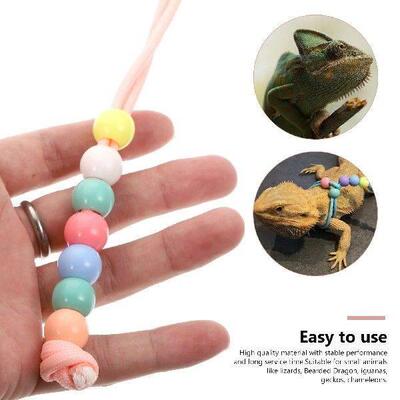 Bearded Dragon Walking Leash Lizard Hamster Adjustable Rope