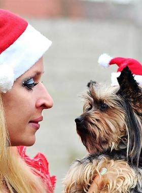 Christmas Pet Hat for Dogs, Red Santa Claus Costume