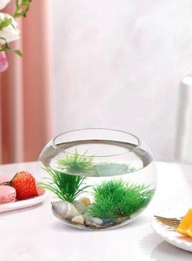 Home Accessories Glass Fish Tank Goldfish Bowls Filter