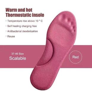 Sweat Insole Absorption Arch Insoles Self Support Heated