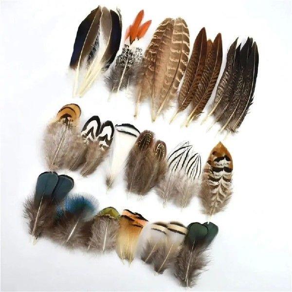 40/48Pcs Assorted Natural Feathers Bulk 6 Styles Long