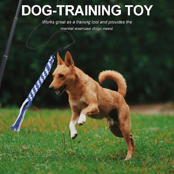 The Stick Child Flirt Pole for Large Dogs Ang Extendable