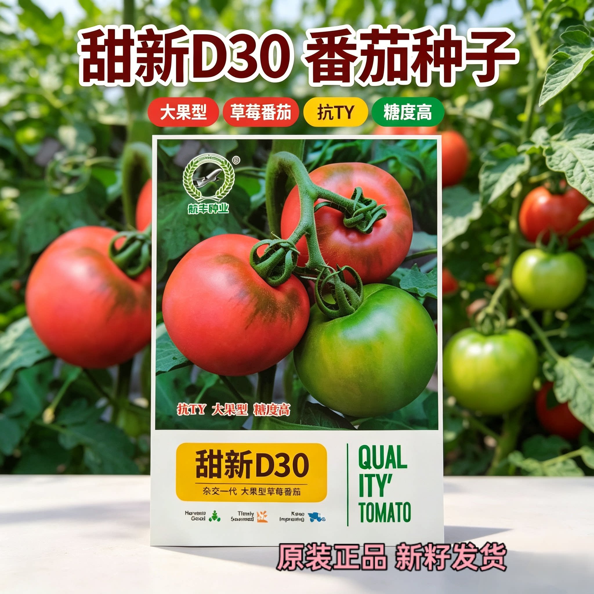 甜新D30番茄种子 大果型草莓番茄种子草莓柿子籽蔬菜籽抗病抗枯萎