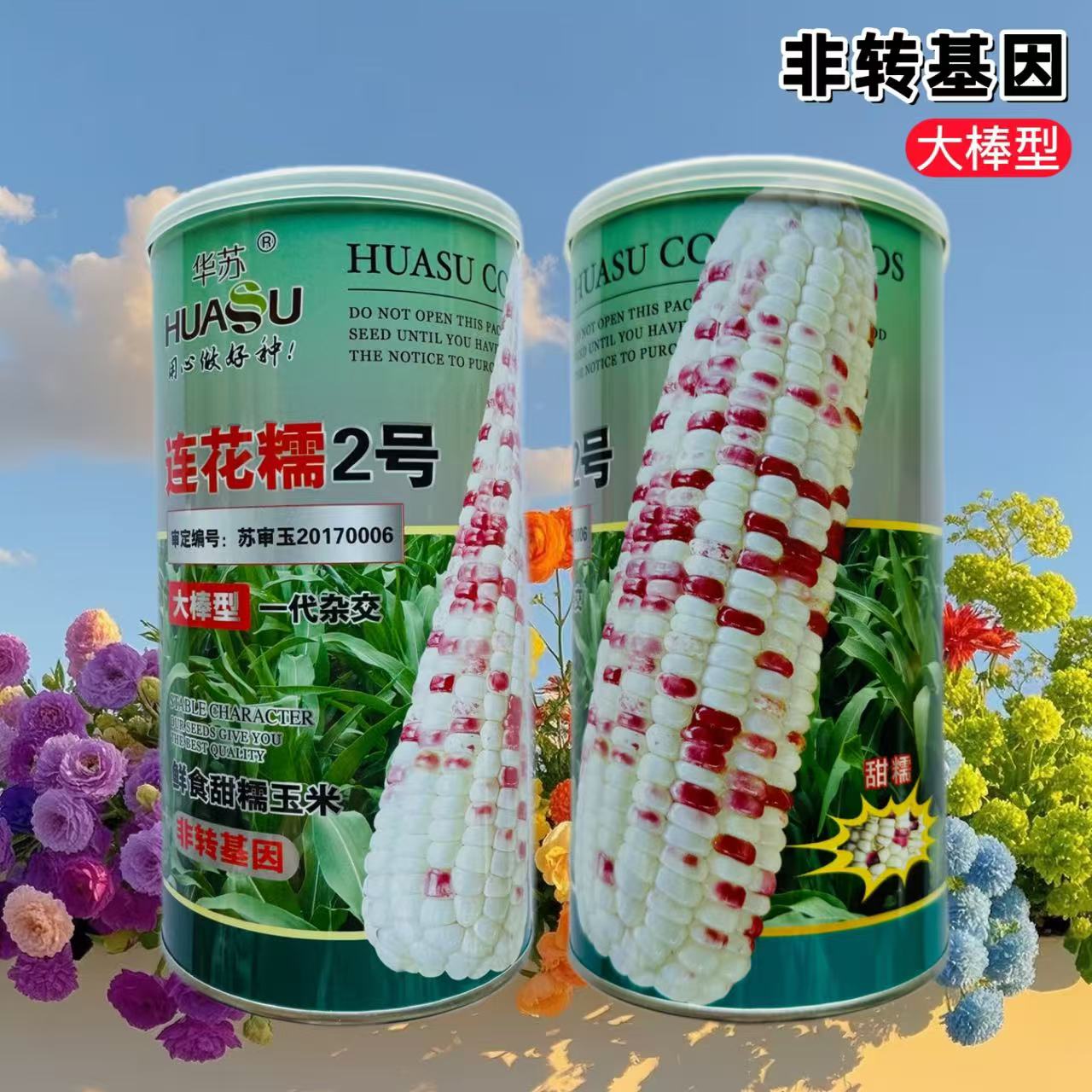 华苏连花糯2号彩甜糯玉米