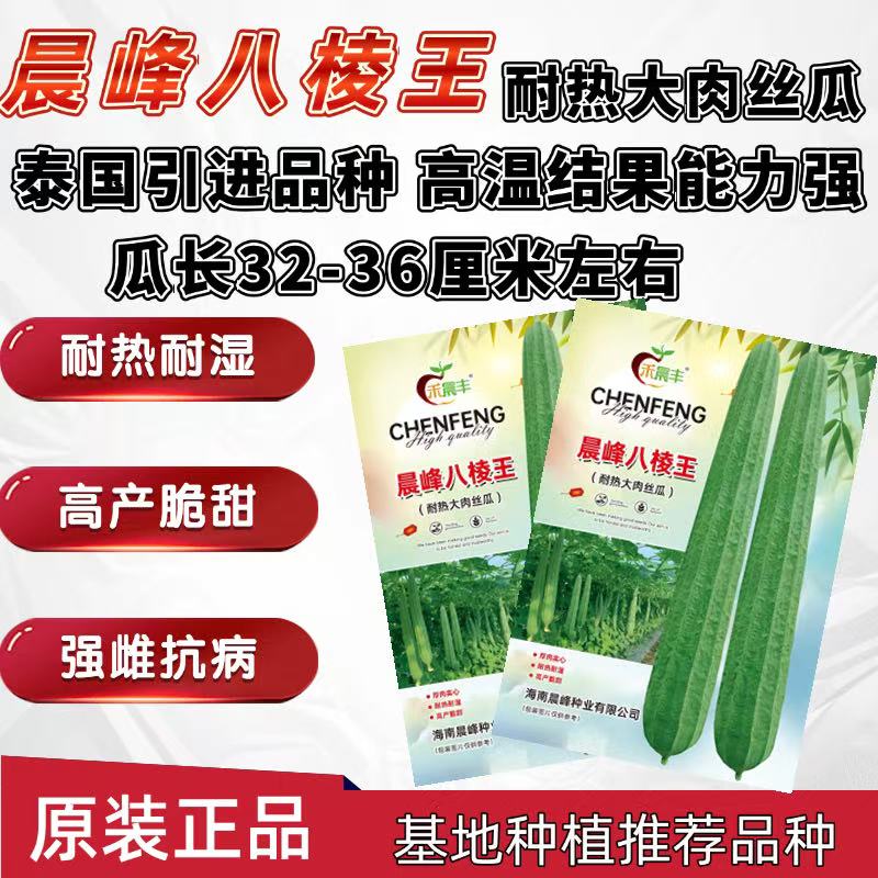 晨峰八棱王丝瓜大花点种