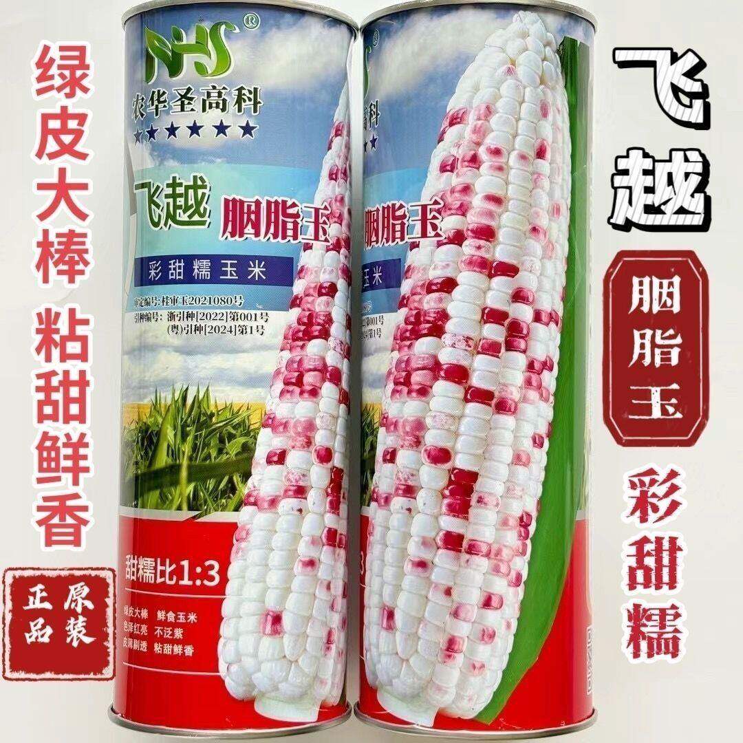 彩甜糯玉米种子钱多多胭脂玉薄皮大棒彩甜糯玉米种籽农家大田高产